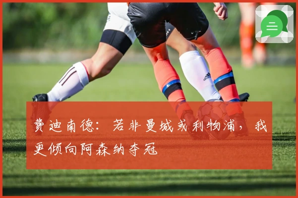 费迪南德：若非曼城或利物浦，我更倾向阿森纳夺冠